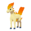 non-shiny