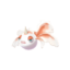 non-shiny